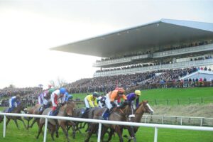 Limerick Racecourse