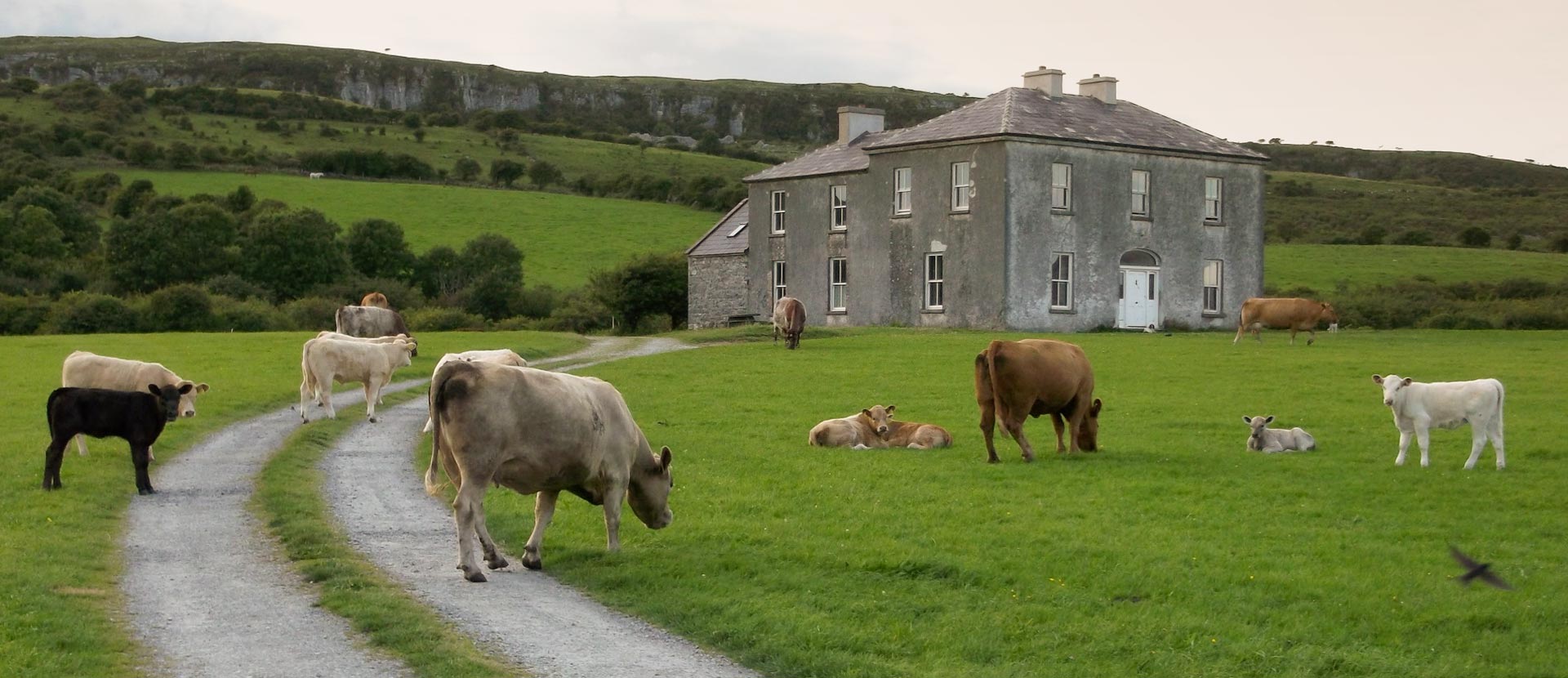 FR. TED’S HOUSE
